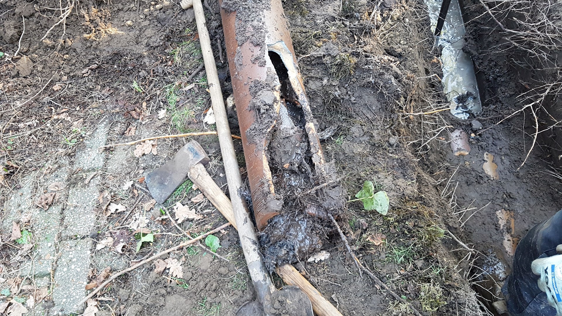 IMG 20180213 WA0010