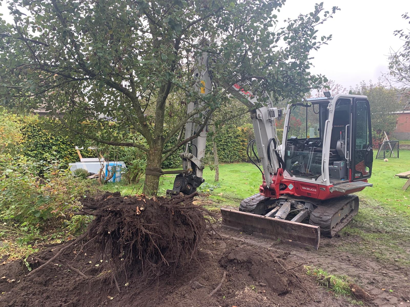 Whatsapp Image 2024 06 18 At 22.23.16